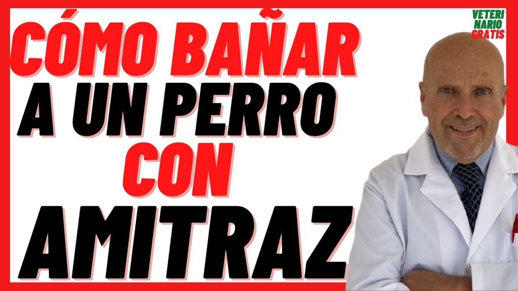 acaricida para perros