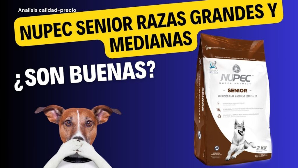 alimento para perros senior