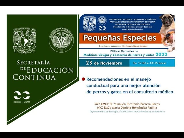 consultorio médico veterinario