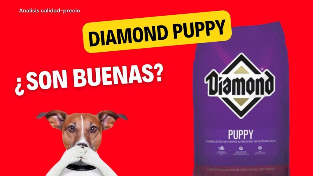 croquetas diamond cachorro