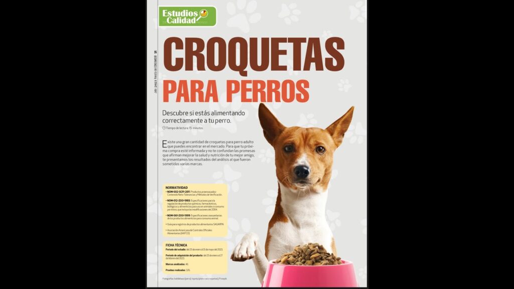 croquetas para perro viejo