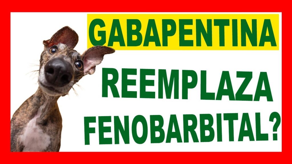gabapentina para perros