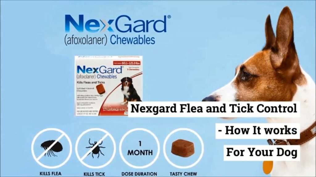 nexgard