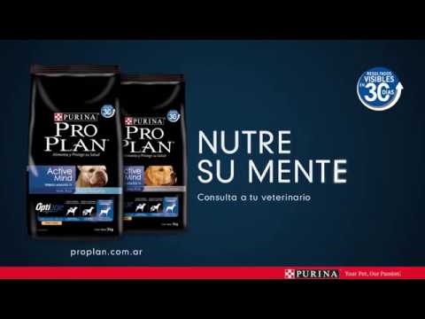 pro plan active mind