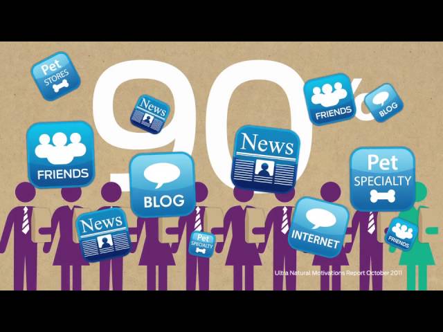pro plan en