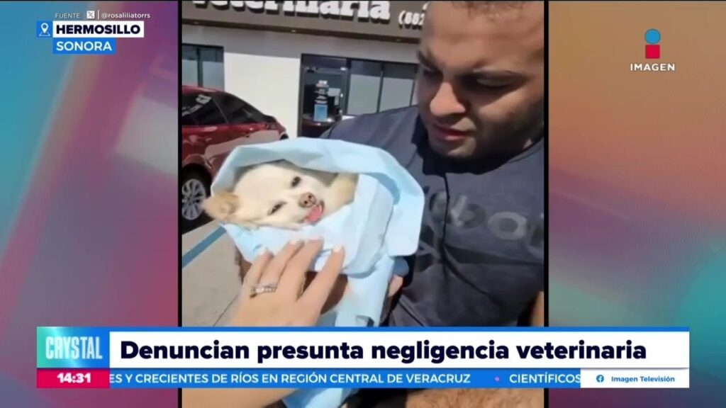 veterinaria hermosillo