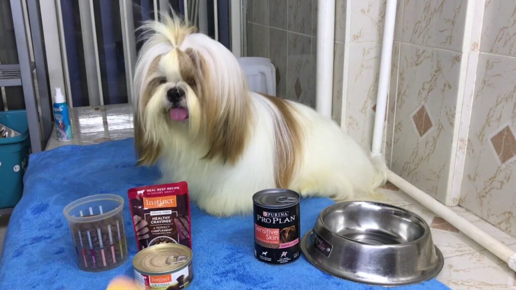 alimento en lata para perro