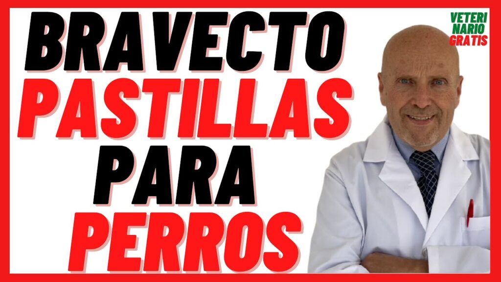 bravecto antipulgas