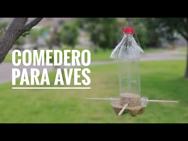 comederos y bebederos para aves