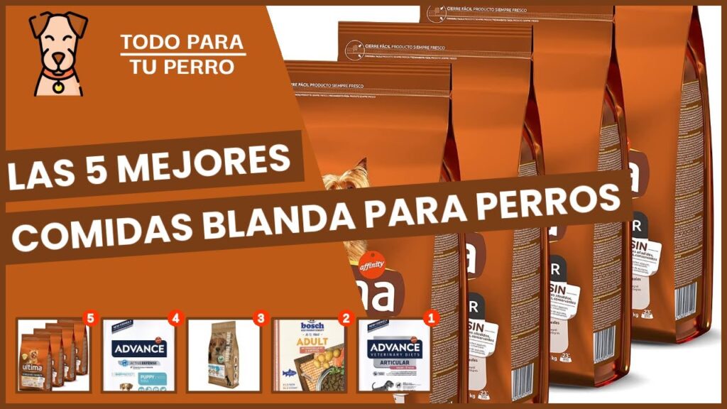 comida blanda para perros