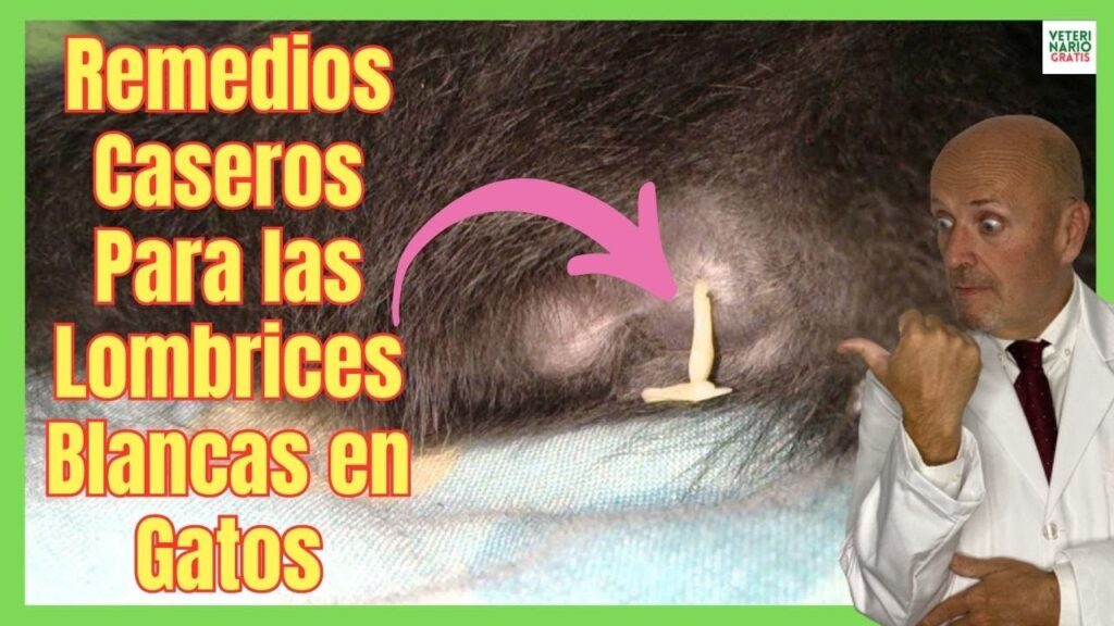 desparasitante para gatos liquido
