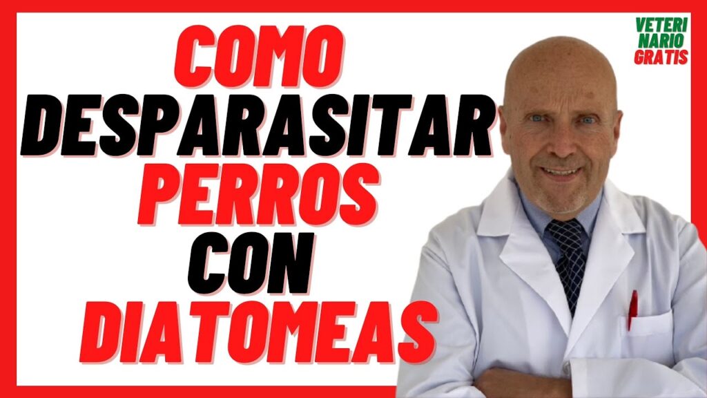 diatomeas para perros