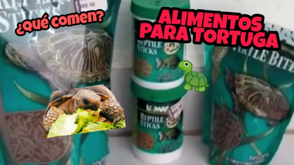 donde comprar tortugas