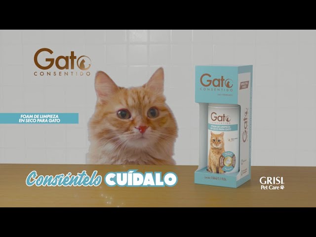 espuma para gatos