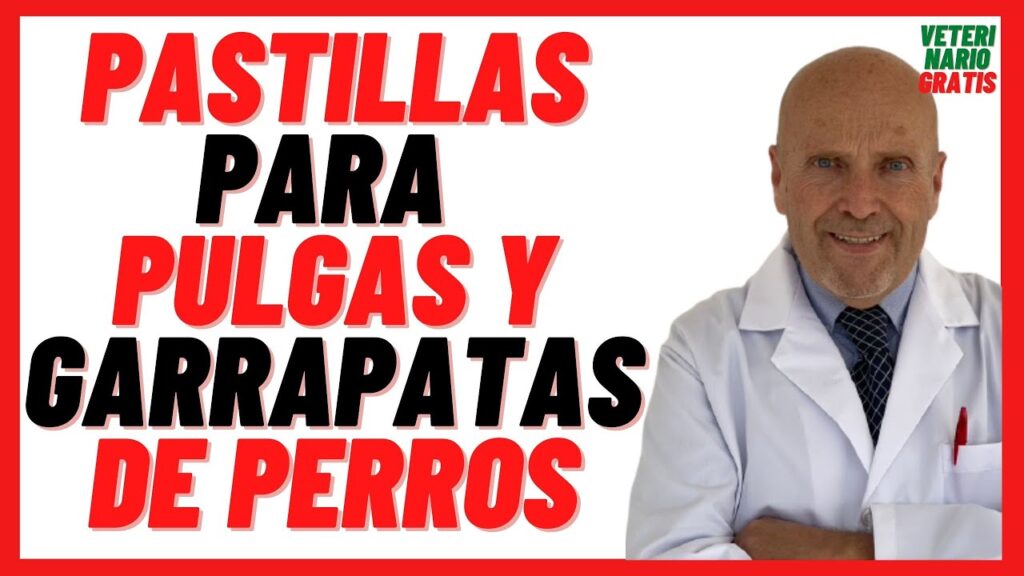 jabon para garrapatas en perros