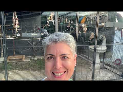jaula de loro
