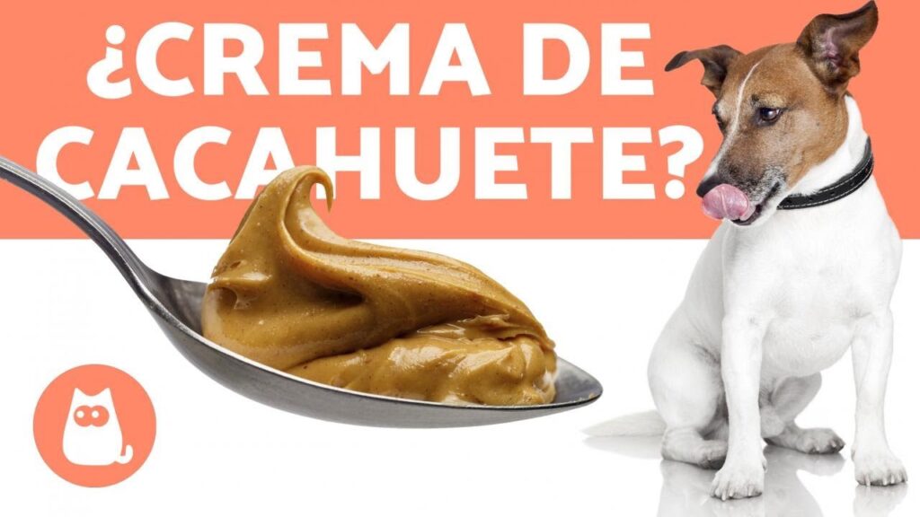 mantequilla de mani para perros