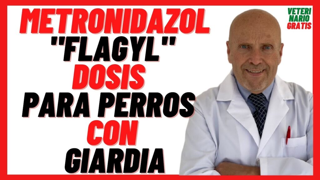 metronida pets para que sirve