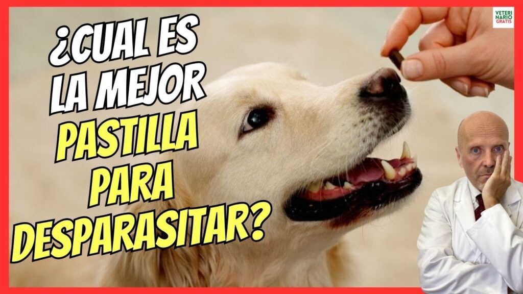 pastillas para desparasitar perros precio