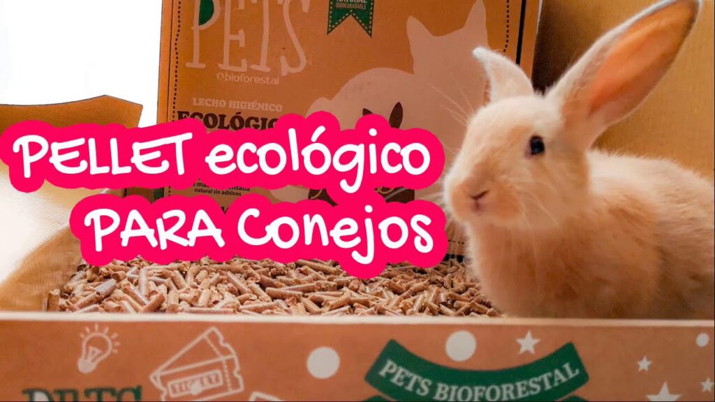 pellets para conejos