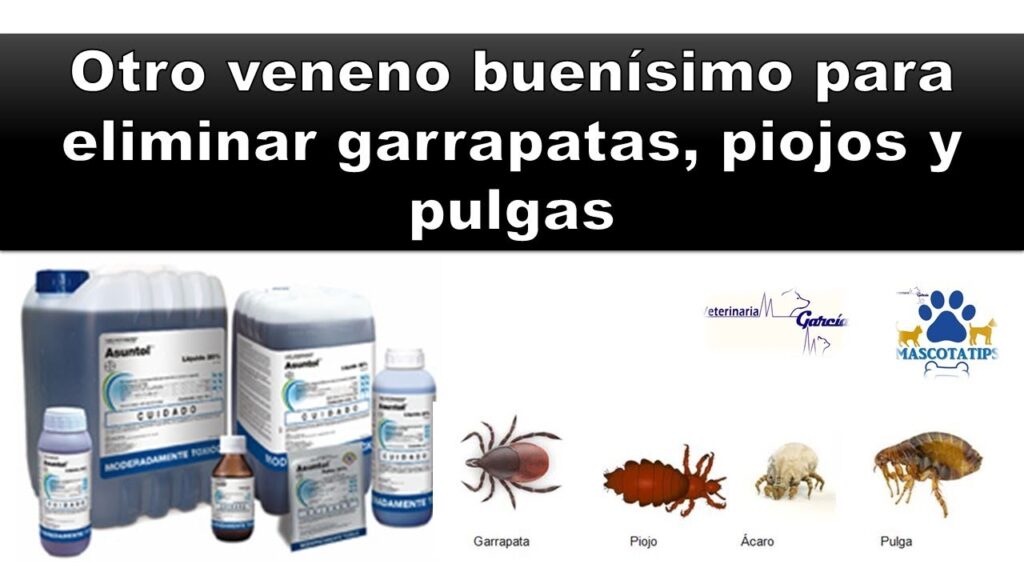 que es asuntol