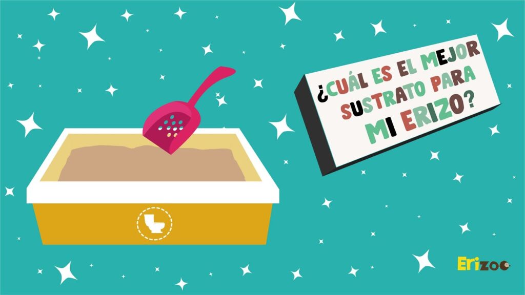 sustrato para erizos