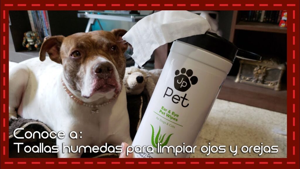 toallitas humedas para gatos