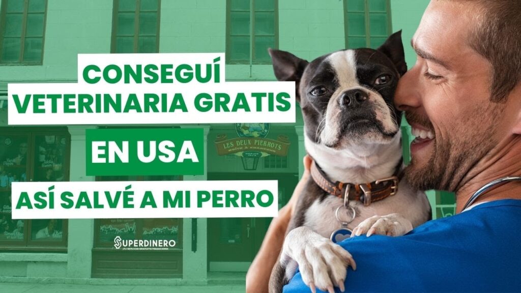 una veterinaria cerca de mi ubicación